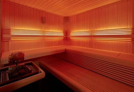 Što je infracrvena sauna? Što je infracrvena sauna?